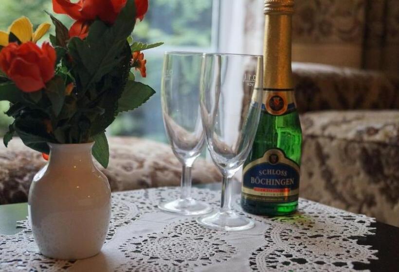 Отель Richzenhainer Hof