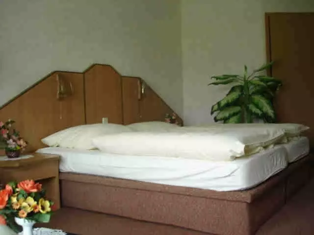 ホテル Richzenhainer Hof