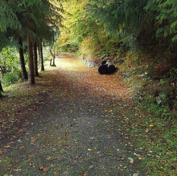 Waldhotel & Restaurant Zur Holzmühle