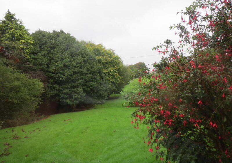 住宿加早餐 Abbey View