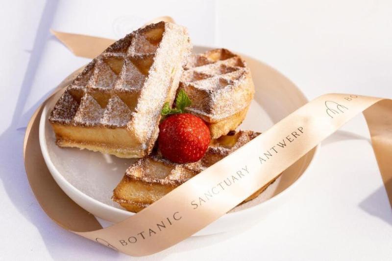 Botanic Sanctuary Antwerp The Leading Hotels Of The World