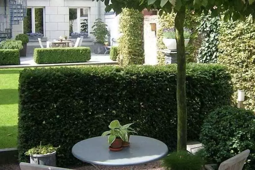 Hotelli B&b Dusk Till Dawn
