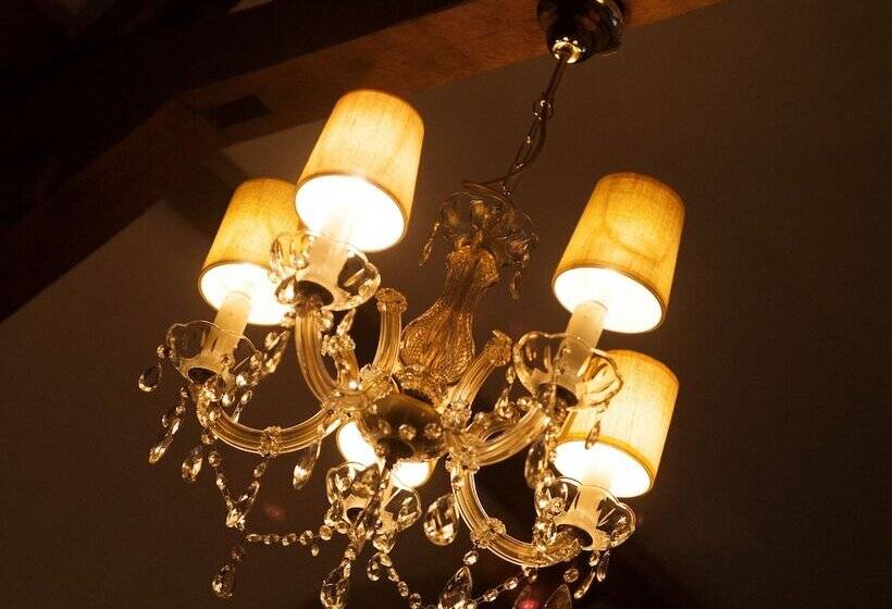 酒店 Guesthouse Vakantie Logies Hollywood