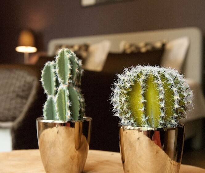 酒店 Guesthouse Vakantie Logies Hollywood