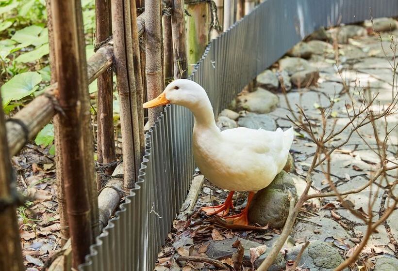 هتل Hana No Omotenashi Nanraku