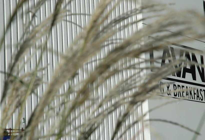 בית מלון כפרי Lavan