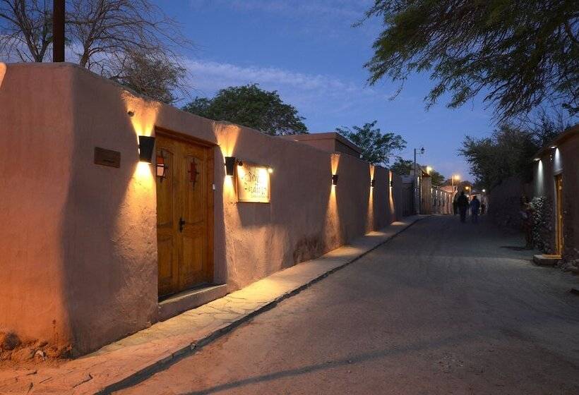 酒店 Pascual Andino