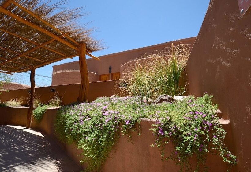 酒店 Pascual Andino