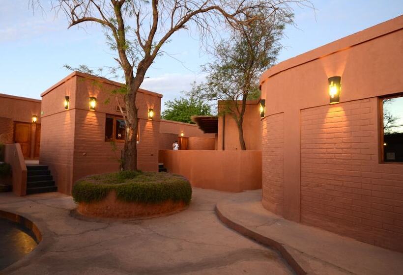 酒店 Pascual Andino