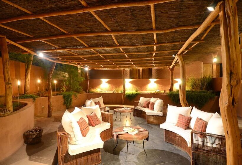 酒店 Pascual Andino