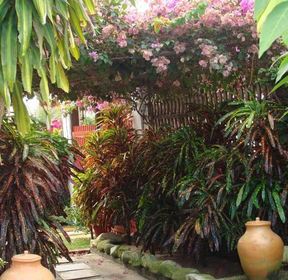 Hotel Pousada Papaya