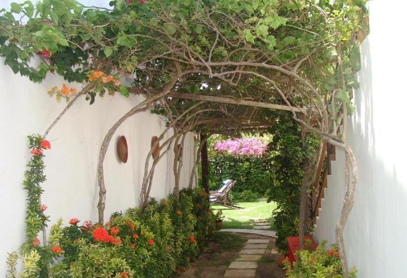 Hotel Pousada Papaya