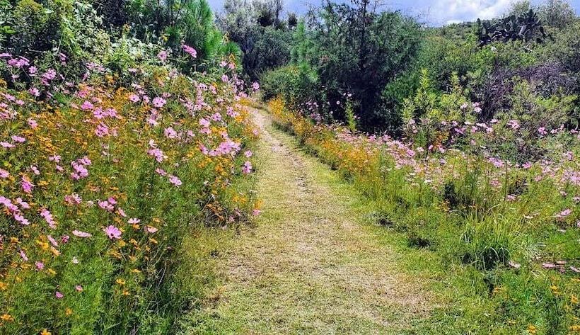 Echological Hotel Restaurante & Spa