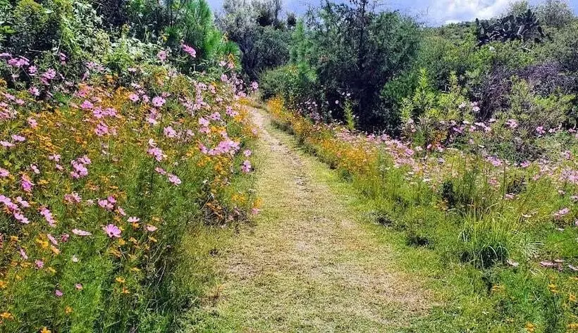 Echological Hotel Restaurante & Spa