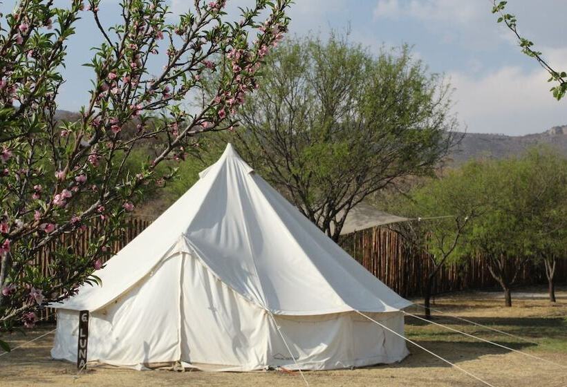 Echological Hotel Restaurante & Spa