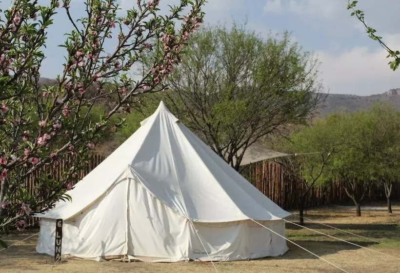 Echological Hotel Restaurante & Spa