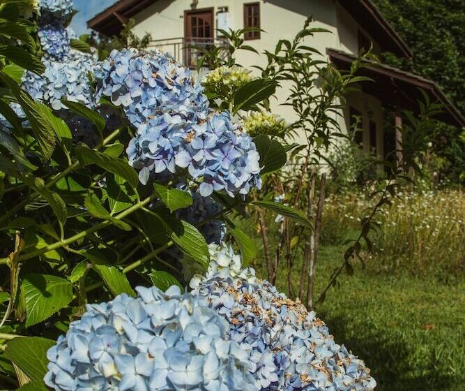 فندق فئة نجمة واحدة Pousada Medeiros