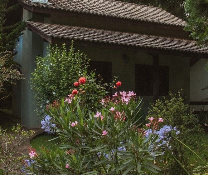 فندق فئة نجمة واحدة Pousada Medeiros