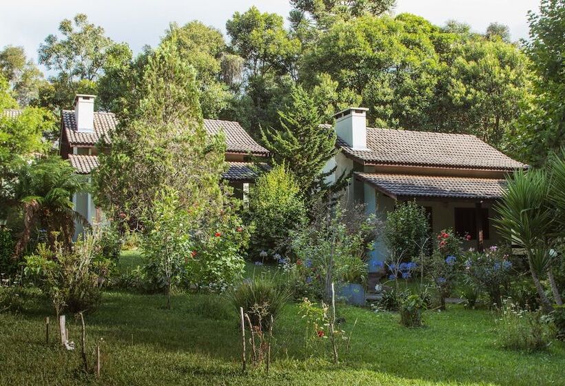 فندق فئة نجمة واحدة Pousada Medeiros