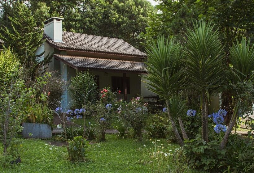 فندق فئة نجمة واحدة Pousada Medeiros