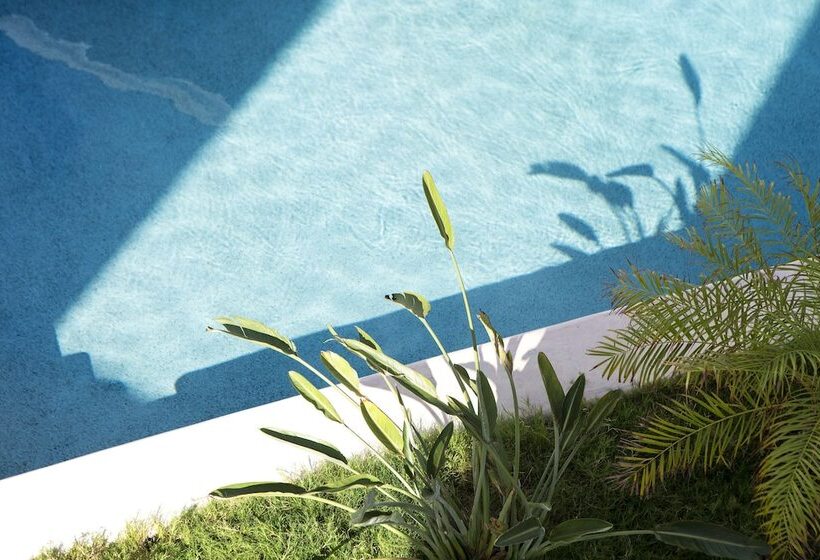 Anemomiloi Andros Boutique