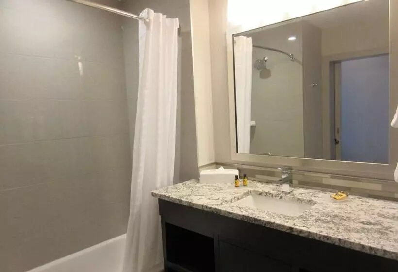 ホテル Best Western Plus Airdrie Gateway