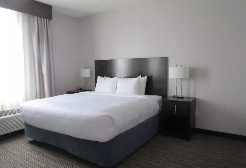 ホテル Best Western Plus Airdrie Gateway
