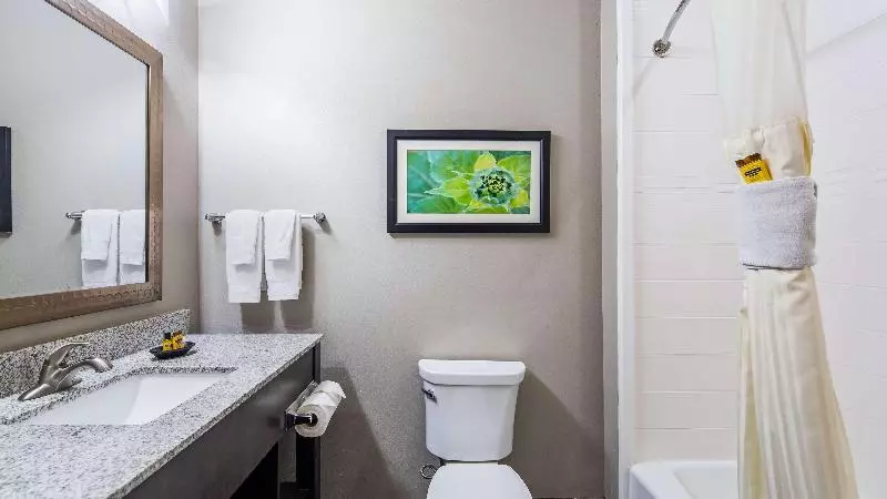 ホテル Best Western Plus Tech Medical Center Inn