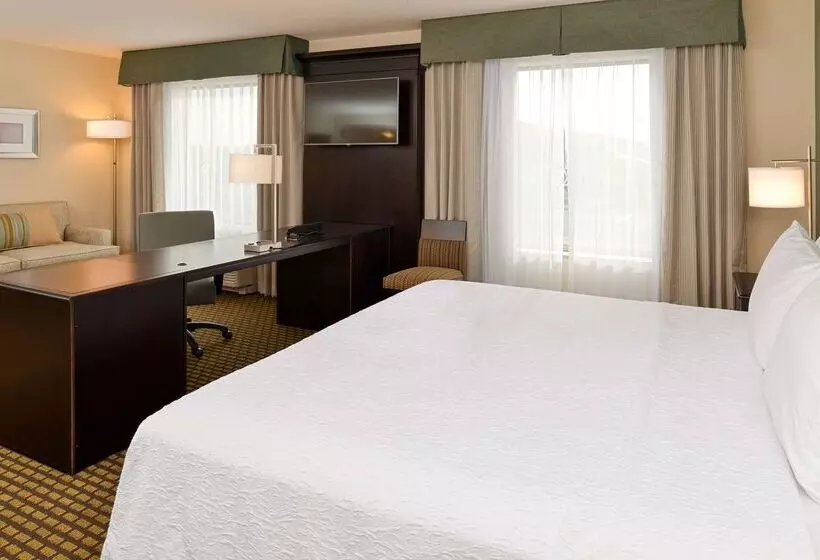 ホテル Hampton Inn & Suites Douglas