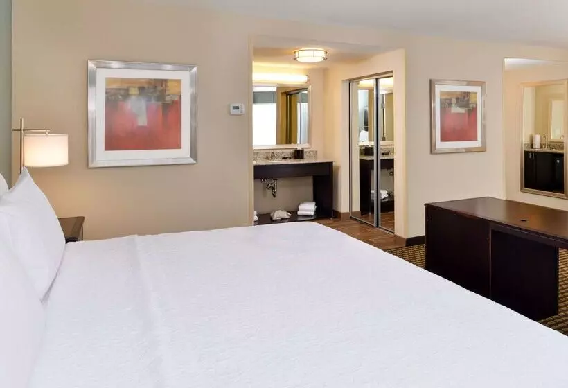 ホテル Hampton Inn & Suites Douglas