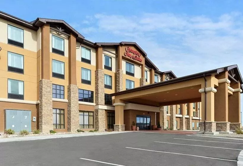 ホテル Hampton Inn & Suites Douglas