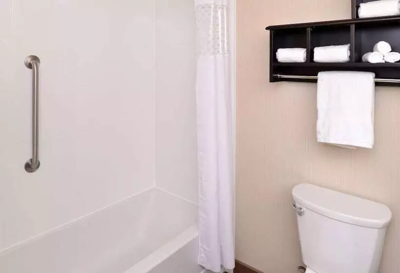 ホテル Hampton Inn & Suites Douglas