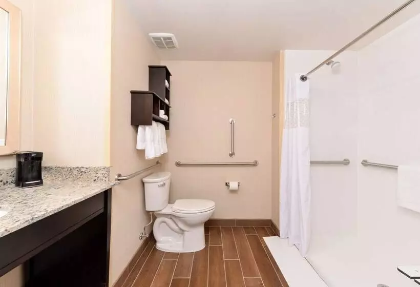 ホテル Hampton Inn & Suites Douglas