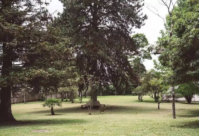 ホテル Pousada Betânia
