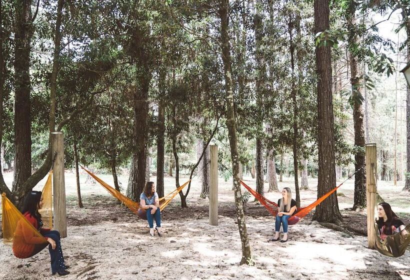 Отель Pousada Betânia