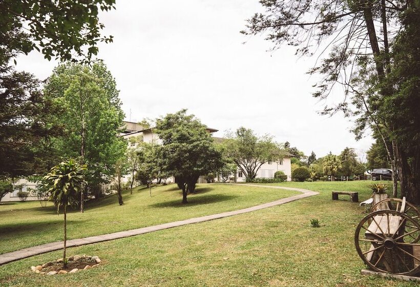 Отель Pousada Betânia