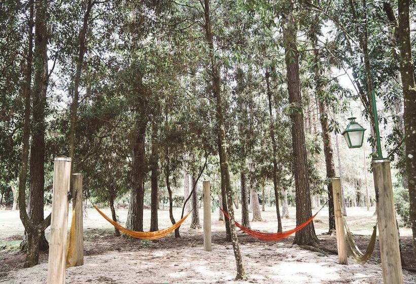 Отель Pousada Betânia