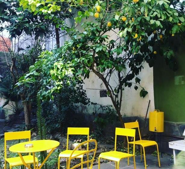 La Lechuza Rosario Hostel