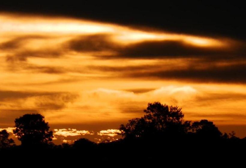 Narrabri Motel And Caravan Park