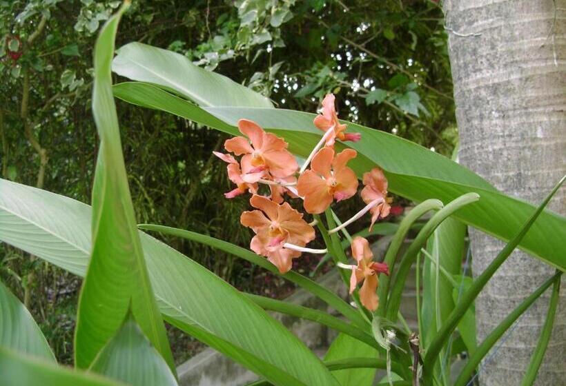 פנסיון Chez Charly Bungalow