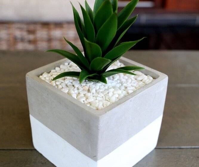 مبيت وإفطار Morulana Guest House