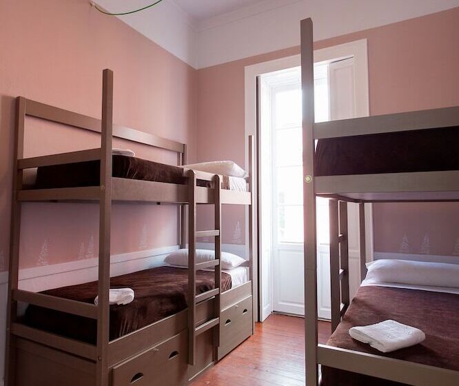 Bettmar Ecohostel Canarias