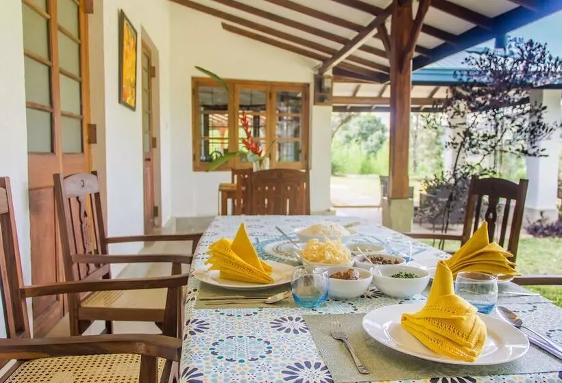 ホテル Ceylon Tea Bungalows
