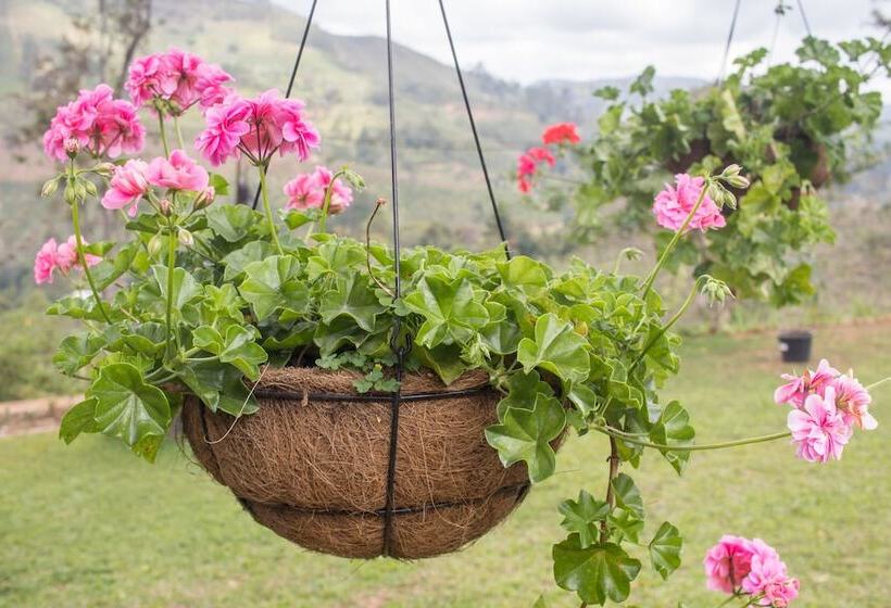 فندق Ceylon Tea Bungalows