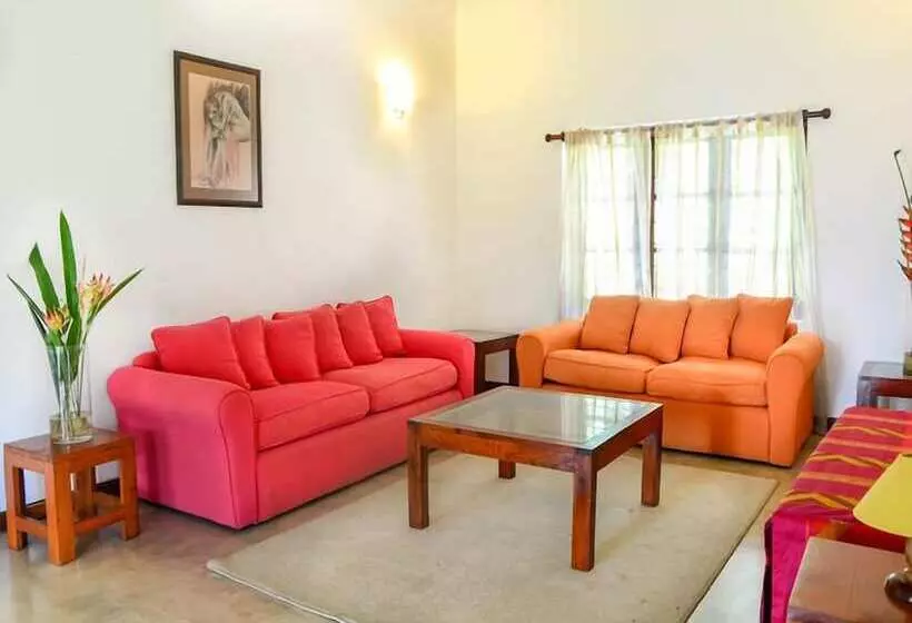 ホテル Ceylon Tea Bungalows