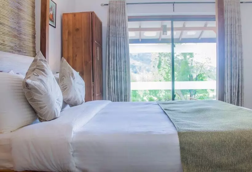 ホテル Ceylon Tea Bungalows