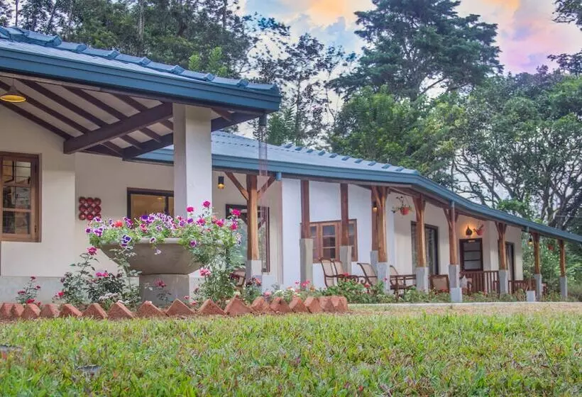ホテル Ceylon Tea Bungalows