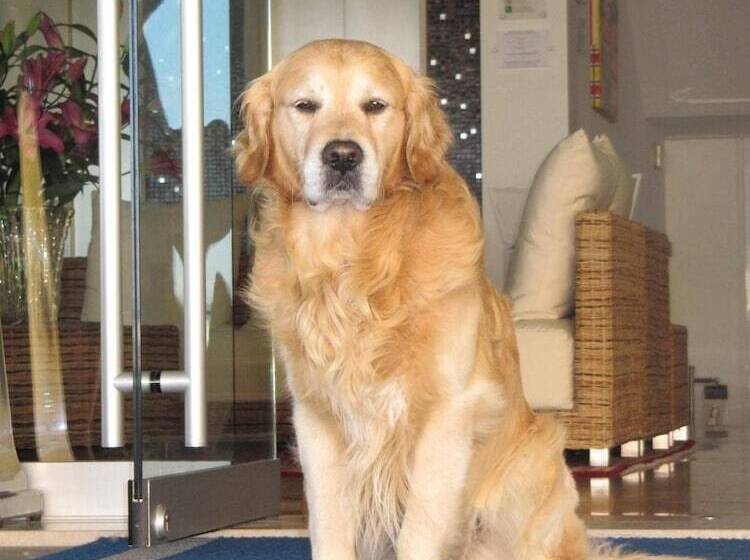 בית מלון כפרי Croce Di Malta