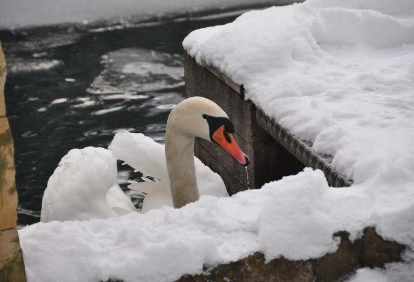 فندق Gondelfahrt