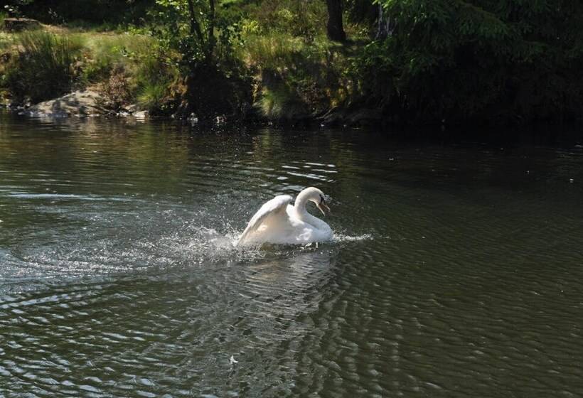 فندق Gondelfahrt